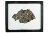 Aqueous Altered Lunar Meteorite ( g) - Oued el Hamim #301200-1